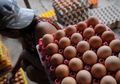 Usai Lebaran 2018, Harga Telur Ayam Naik Hingga Rp31.000 per Kg