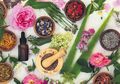 Moms Boleh Coba: Fitoterapi, Pengobatan Herbal Yang Lagi Naik Daun!