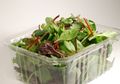 Salad Kemasan Ternyata Mengandung Bakteri Berbahaya. Ini Penjelasannya