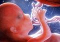 Perkembangan Janin yang Normal Terjadi Pada Trimester Akhir Kehamilan
