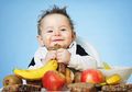Contoh Jadwal Pemberian Makan Pertama Bayi Usia 8-12 Bulan