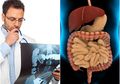 Bahayanya Fatal, Ini Tanda-tanda Kanker Usus Besar yang Perlu Diwaspadai