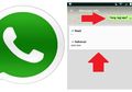 Inilah Kerugian Mematikan Centang Biru dan Status Last Seen di WhatsApp