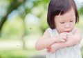 Si Kecil Tergigit Nyamuk? Atasi dengan Menggunakan Bahan Alami Ini