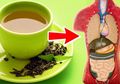Tak Hanya Bikin Langsing, Ini yang Terjadi pada Tubuh saat Minum Teh Hijau