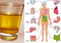 Minum 1 Gelas Air Kunyit di Pagi Hari, Lihat Apa Yang Akan Terjadi pada Tubuh!