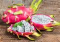 Dapat Cegah Cacat Janin, Ini Manfaat Lain Makan Buah Naga Saat Hamil