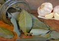 Taruh 7 Daun Salam dan Bawang Putih di Rumah, Rasakan Hal Positif Ini