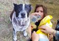 Momen Penuh Emosional, Kisah Anjing Cacat yang Setia dan Menolong Gadis Berusia 3 Tahun