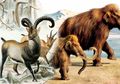 Berhasil Mengkloning Seekor Hewan Punah, Para Ilmuwan Berambisi Hidupkan Kembali Mammoth!