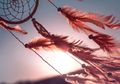 Ilmuwan Ciptakan Teknologi Dream Catcher, Alat Untuk Mengendalikan Mimpi