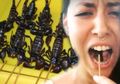 Sensasi Makan Kalajengking Goreng, Menyeramkan Tapi Banyak yang Tergoda
