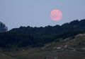 Malam Ini Puncak Bulan Pink Akan Terlihat, Berikut Fakta Menarik di Balik Kemunculannya