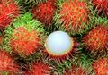 Moms, Rasakan 7 Manfaat Tak Terduga Jika Konsumsi Rambutan Setiap Hari
