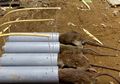 (Foto) 7 Jebakan Tikus Sederhana yang Bisa Anda Buat dengan Muda di Rumah, Dijamin Bikin Tikus Kapok!