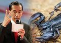 Pernyataan Jokowi Benar atau Hoax? Inilah Fakta Racun Kalajengking di Mata Sains