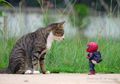 Ini Dia Foto-Foto Bukti Persahabatan Akrab Antara Spiderman dan Kucing