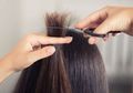 Jangan Langsung Dipotong, Ini Cara Mudah Mengatasi Rambut Kering dan Patah!