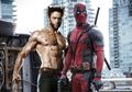 Ini Respon Hugh Jackman Menanggapi Rencana Crossover Film Deadpool-Wolverine dari Ryan Reynolds
