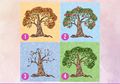 Pilih Salah 1 Dari 4 Gambar Pohon Ini dan Ungkap Rahasia dan Kepribadianmu