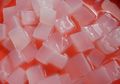 Nikmatnya Buka Puasa dengan Nata de Coco Buatan Sendiri, Ini Caranya