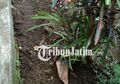 Heboh, Ada Kaki Menyembul di Dekat Nisan Sebuah Makam Tua di Kediri