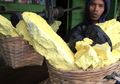Kisah Penambang Belerang di Gunung Ijen yang Hasilkan Banyak 'Uang Instan' Walau Nyawa Bisa Melayang