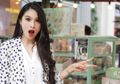 Layaknya Negeri Dongeng, Intip Yuk Kamar Sandra Dewi Sebelum Menikah
