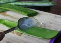 Banyak Manfaatnya, Ini Cara Membuat Gel Lidah Buaya Tanpa Harus Beli