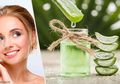 Tunggu Apa Lagi? Yuk Konsumsi Jus Lidah Buaya Tiap Hari dan Rasakan Khasiatnya!