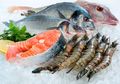 Kiat Menangkal Penyakit Jantung, Makan Jenis Ikan Ini 2 Kali Seminggu!
