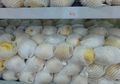 Jaring-Jaring Pembungkus Buah Ini Ternyata Serba Guna, Sudah Coba?