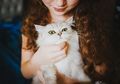 Ingin Mengelus Kucing? Ini Bagian Tubuh yang Disukai dan Tidak Disukai