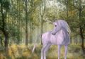 Unicorn, Makhluk Mitologis dalam Dongeng yang Sering Dianggap Nyata