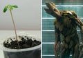 7 Foto Pahlawan Avengers: Infinity War Semasa Kecilnya Edisi Kedua