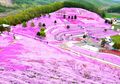 Sumpah, Lembah di Sapporo Ini Indah Banget, Kayak Negeri Khayalan!