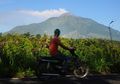 Ingin Berlibur ke Jogja Tapi Takut Terkena Hujan Abu? Siapkan 5 Benda Berikut Saja!