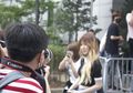 Fansite: Paparazzi-nya Idol K-Pop