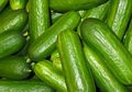 Selain Timun Suri, Ini Buah-buahan yang Bisa Jadi Menu Berbuka Puasa