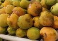 Serba-serbi Mangga Gedong Gincu dari Jawa Barat, Sudah Pernah Coba?