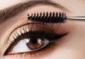 Maskara Rusak Sebelum Kedaluwarsa? Coba Tips Ini Agar Maskara Awet