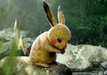 Begini Jadinya Jika Pokemon Ada Di Kehidupan Nyata, Lucu Atau Aneh?