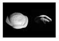 Bentuk Bulan Saturnus yang Tidak Beraturan Ini Mirip Pasta dan UFO