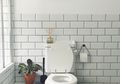 Mampet WC Hilang Seketika Hanya Dengan Bahan Alami dari Dapur!
