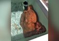 Beli Gurita Seberat 30 Kg Lebih, Pemilik Pasar Ikan Lakukan Ini