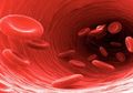 Menakjubkan, 3 Bahan Rumahan Ini Ampuh Mencegah Penggumpalan Darah