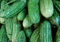Ini Dia Penyebab Rasa Pahit Buah Pare dan Cara Menghilangkannya