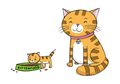 Teman-teman Punya Kucing? Jangan Lupa Ketahui 7 Hal Seputar Kucing Ini