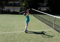 Tenis dan Bulu Tangkis Itu Sama Atau Beda, ya? Yuk, Cari Tahu di Sini!