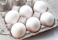 Mudah Membedakan Telur Ayam Kampung Asli dan Palsu dengan 3 Kriteria Ini